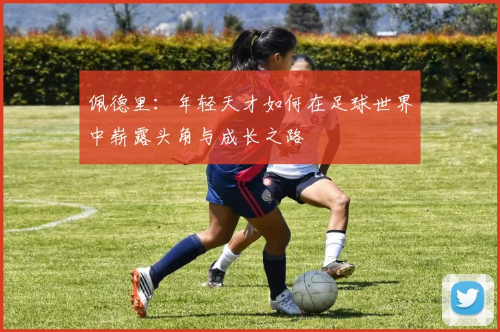 佩德里：年轻天才如何在足球世界中崭露头角与成长之路